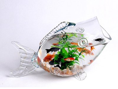 Các vật dụng bài trí mang lại may mắn trong phòng làm việc