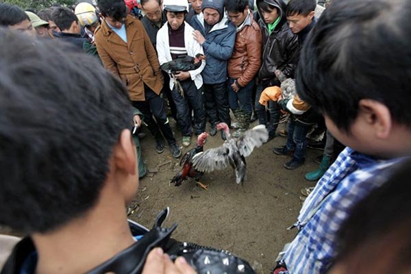 10 chợ bán hàng 'độc' chỉ có ở Việt Nam