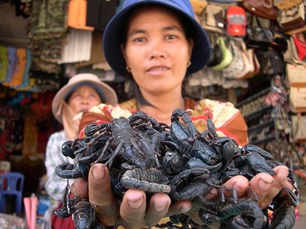 10 chợ bán hàng 'độc' chỉ có ở Việt Nam