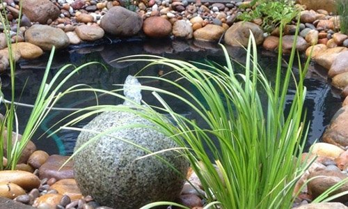 Hồ nước nhỏ - xu hướng mới cho sân vườn hiện đại