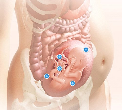 Mang thai tuần thứ 26 và sự phát triển của thai kỳ