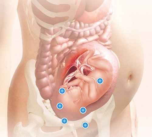 Mang thai tuần thứ 28 và sự phát triển của thai kỳ