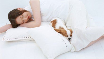 Bao lâu nên thay thế gối ngủ?