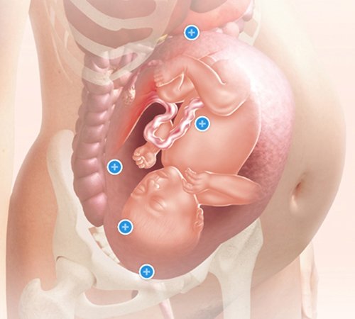 Mang thai tuần thứ 34 và sự phát triển của thai kỳ