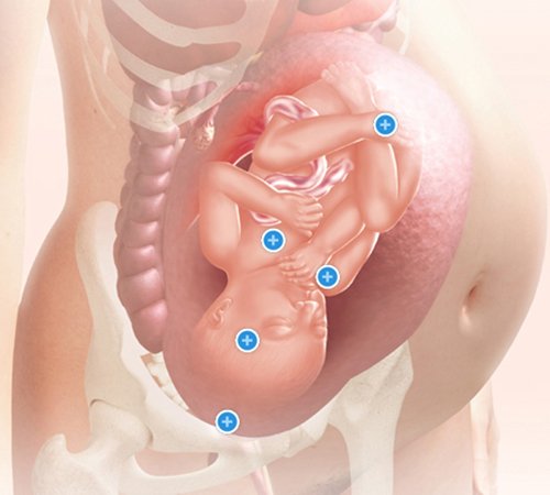 Mang thai tuần thứ 32 và sự phát triển của thai kỳ