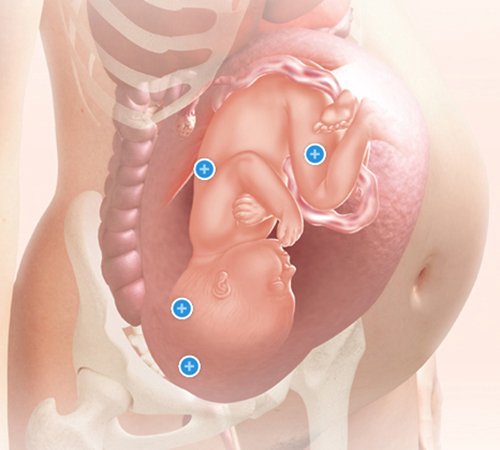 Mang thai tuần thứ 36 và sự phát triển của thai kỳ