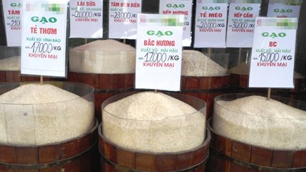 Bị đầu độc hàng ngày bởi gạo thơm, cơm… độc!