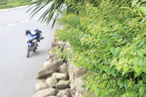 Đẹp mê hồn con đường mang tên quần đảo Hoàng Sa