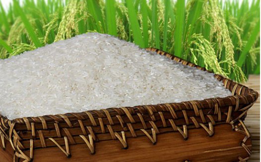 Gạo Việt sẽ thành thương hiệu “hàng đầu thế giới”