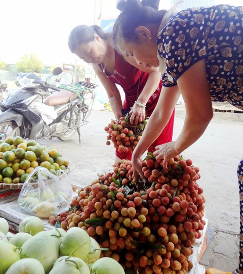 Vải đầu mùa có giá 25.000 đồng/kg