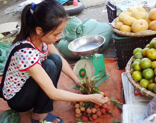 Vải đầu mùa có giá 25.000 đồng/kg