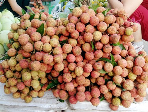 Vải đầu mùa có giá 25.000 đồng/kg