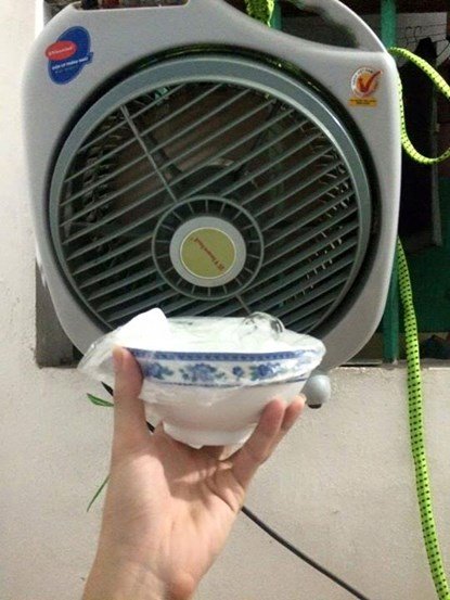 Loạt ảnh mùa nắng và cách chống nóng kỳ cục trên Facebook