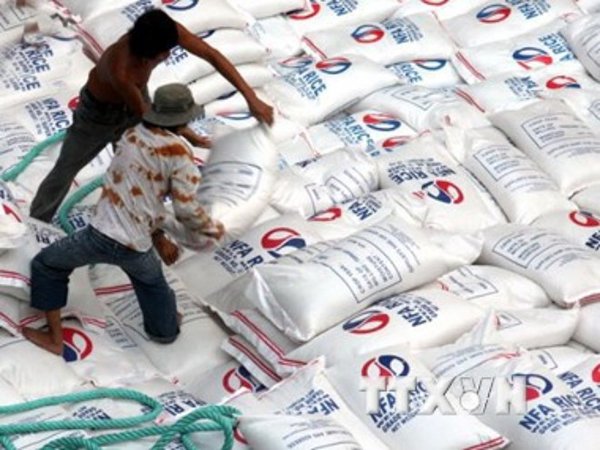 Việt Nam dẫn đầu đấu thầu cung cấp gạo cho Philippines