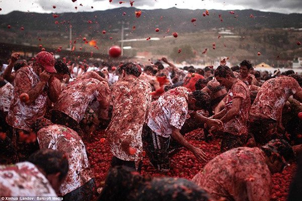 Lễ hội tiêu tốn cả trăm tấn cà chua ở Colombia
