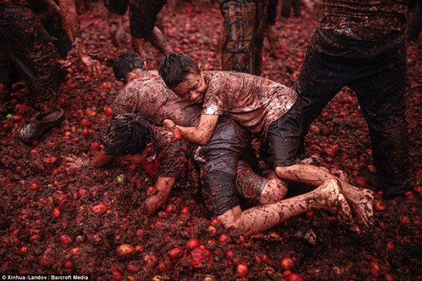 Lễ hội tiêu tốn cả trăm tấn cà chua ở Colombia