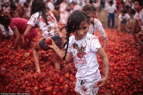 Lễ hội tiêu tốn cả trăm tấn cà chua ở Colombia