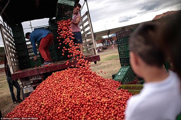 Lễ hội tiêu tốn cả trăm tấn cà chua ở Colombia