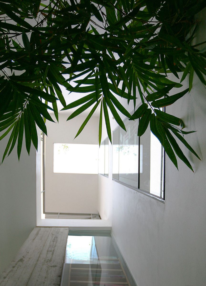 “Mướt mắt” với ngôi nhà phủ đầy cây xanh của nghệ sĩ nổi tiếng ở trung tâm Hà Nội