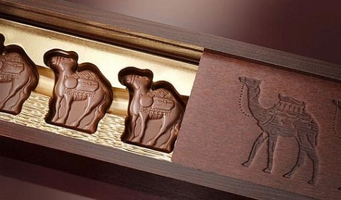 Siêu ngọt ngào sô-cô-la sữa lạc đà khi đi du lịch Dubai