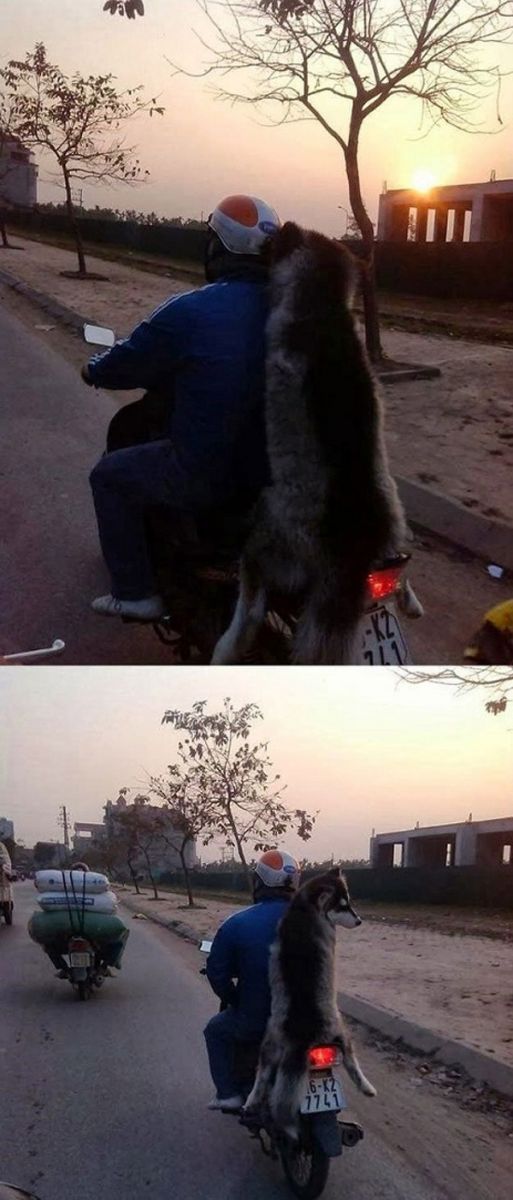 Ảnh hài: Hẹn hò là phải chất