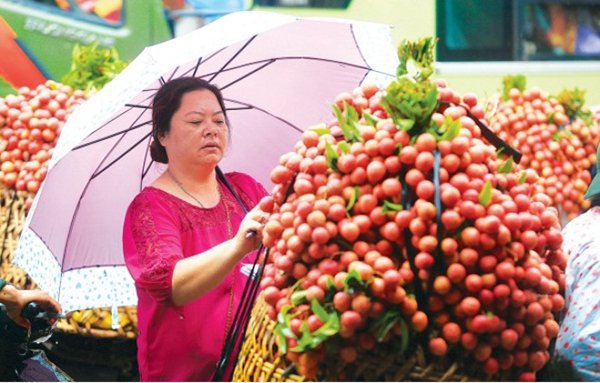 Vải thiều Bắc Giang - nhìn từ “vai” thương lái