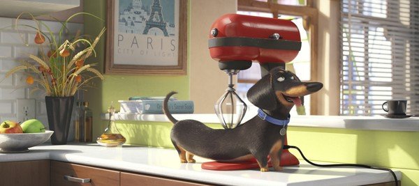 Phấn khích trước trailer siêu đáng yêu của hoạt hình về thú cưng