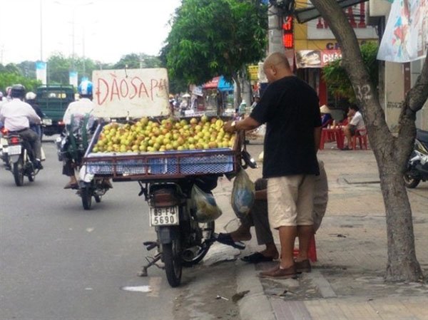 Đào Trung Quốc 'đội lốt' đào Sa Pa