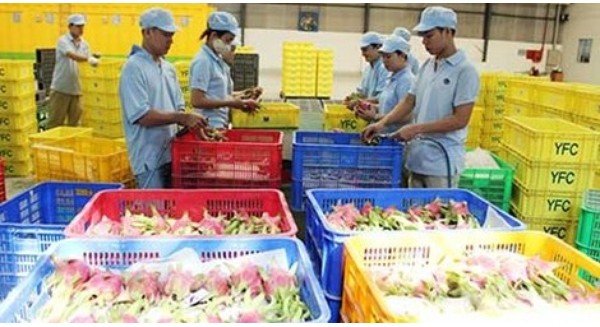Trung Quốc muốn mua nông sản Việt Nam qua sàn
