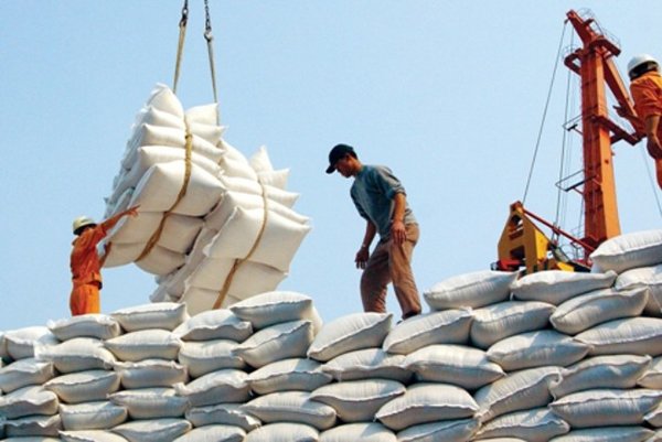 Xuất khẩu gạo phẩm cấp thấp: Cảnh báo 'sập bẫy' Trung Quốc