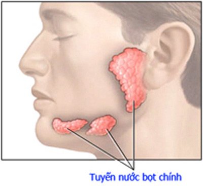 Bạn biết gì về ung thư tuyến nước bọt?