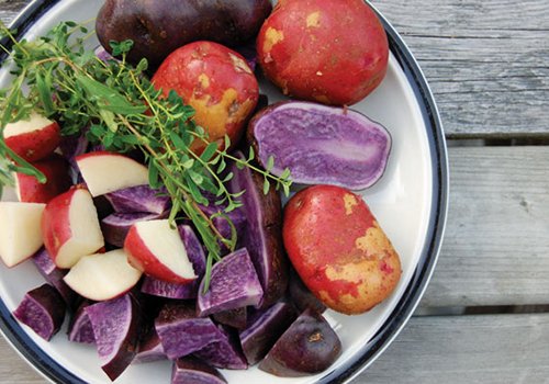 Thường xuyên ăn khoai tây có tốt cho sức khỏe?