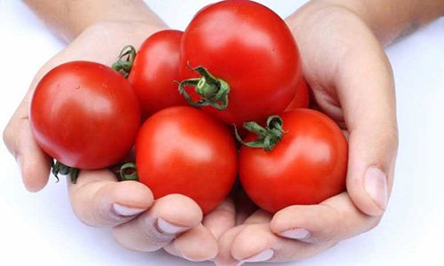 Dưỡng da toàn diện với các công thức làm đẹp từ cà chua