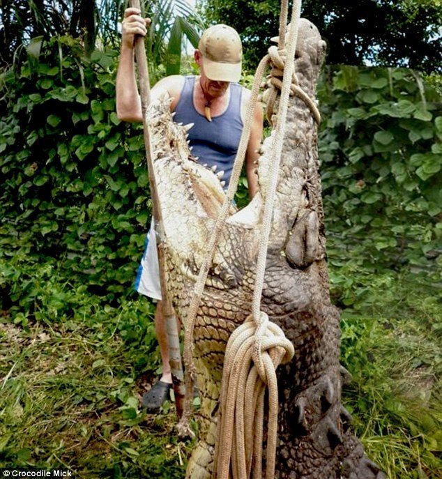 Thợ săn cá sấu bắn hạ "sát thủ đầm lầy" khổng lồ dài 4,9m