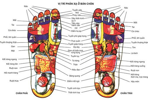 Bồn massage Medisana FS 885 bước đột phá trong trị liệu giảm đau thư giãn