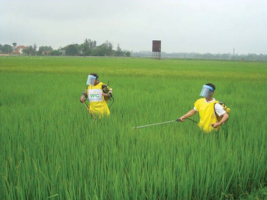 Bảy tháng, VN nhập trên 9.000 tỷ thuốc trừ sâu và nguyên liệu