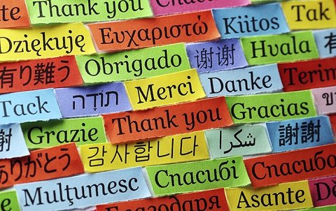 6 lời khuyên hữu ích để bạn trở thành khách du lịch lịch sự