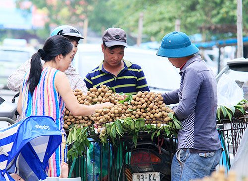 Phân biệt nhãn lồng Hưng Yên và nhãn Trung Quốc