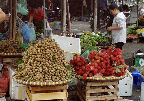 Phân biệt nhãn lồng Hưng Yên và nhãn Trung Quốc