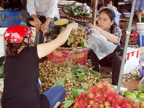 Phân biệt nhãn lồng Hưng Yên và nhãn Trung Quốc