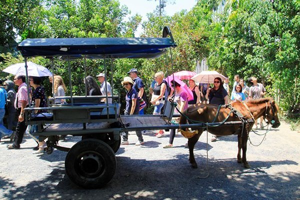 Khám phá ngoại ô Nha Trang bằng xe ngựa