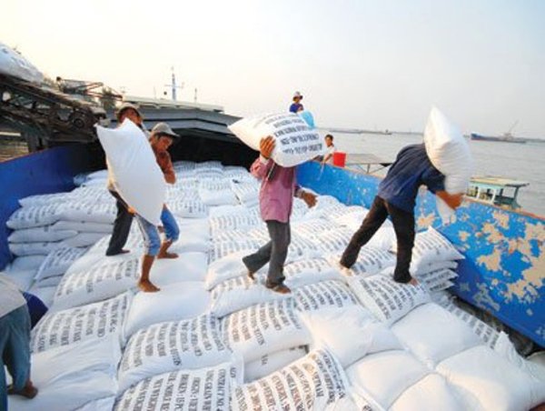 Việt Nam và Thái Lan xuất khẩu gạo sẽ chiếm hơn 47% thế giới
