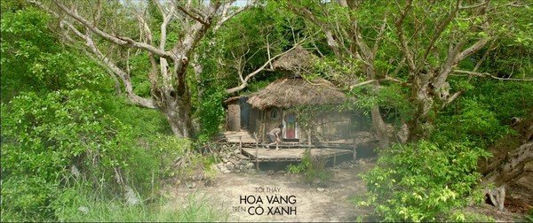 Trailer xúc động của "Tôi thấy hoa vàng trên cỏ xanh"