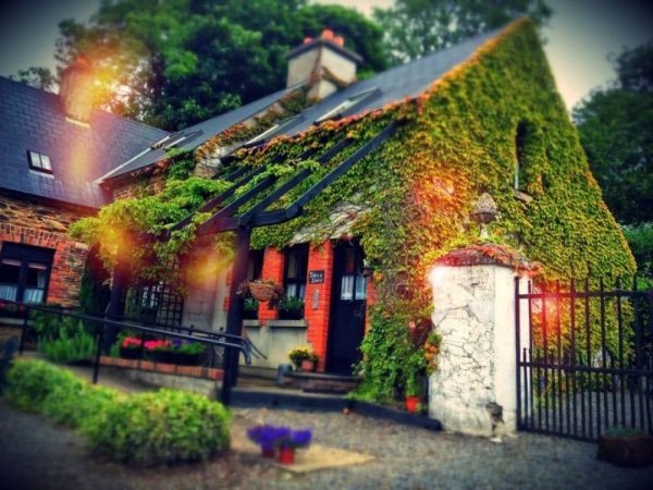 Ngất ngây với những ngôi nhà cổ tích giữa đời thực