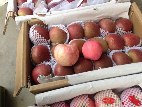 Cách nhận biết táo, cam Trung Quốc bị ngâm tẩm hóa chất