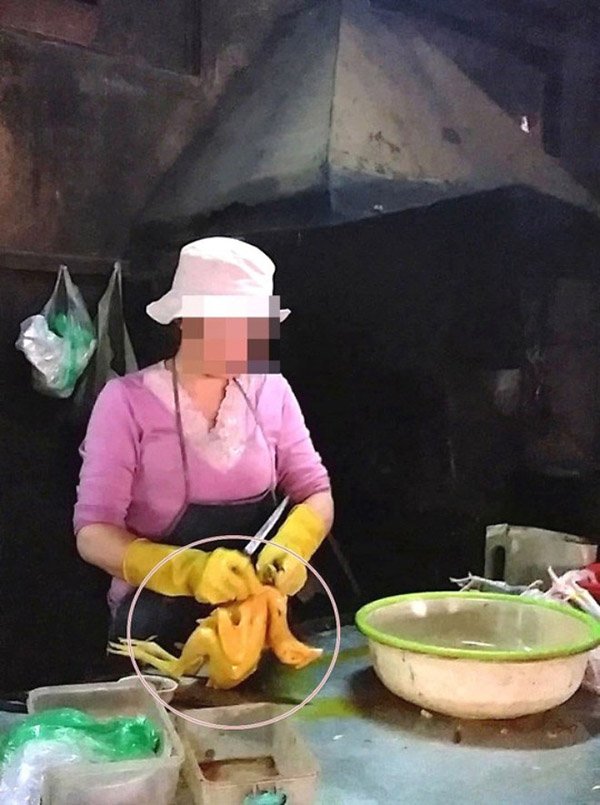 Làm “đẹp” gà, vịt bằng hóa chất