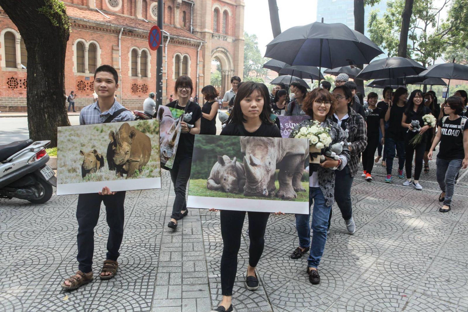 Giới trẻ Sài Gòn dùng nghệ thuật đưa thông điệp bảo vệ Tê giác nhân ngày Tê giác Thế giới