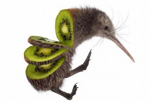 Nghệ thuật tạo hình động vật tuyệt đẹp từ củ quả