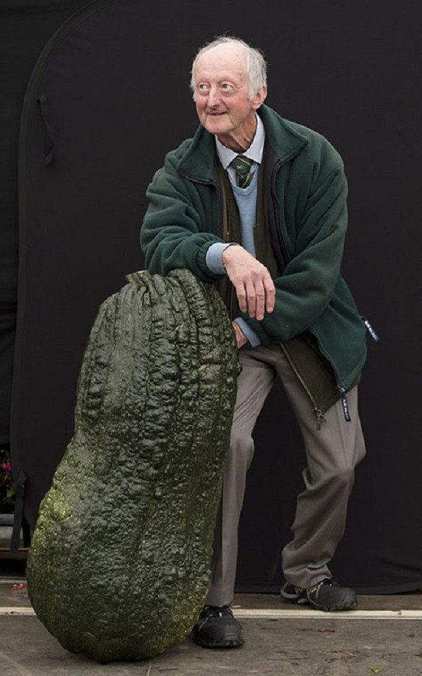 Sửng sốt với những loại rau củ khổng lồ