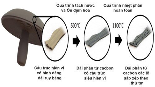 Pin điện thoại làm từ nấm đông cô?